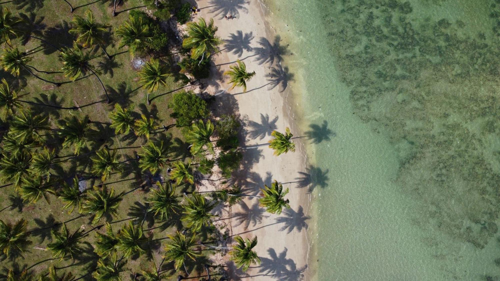 Hotel Pousada Boutique Coco Bambu Morere Eksteriør billede